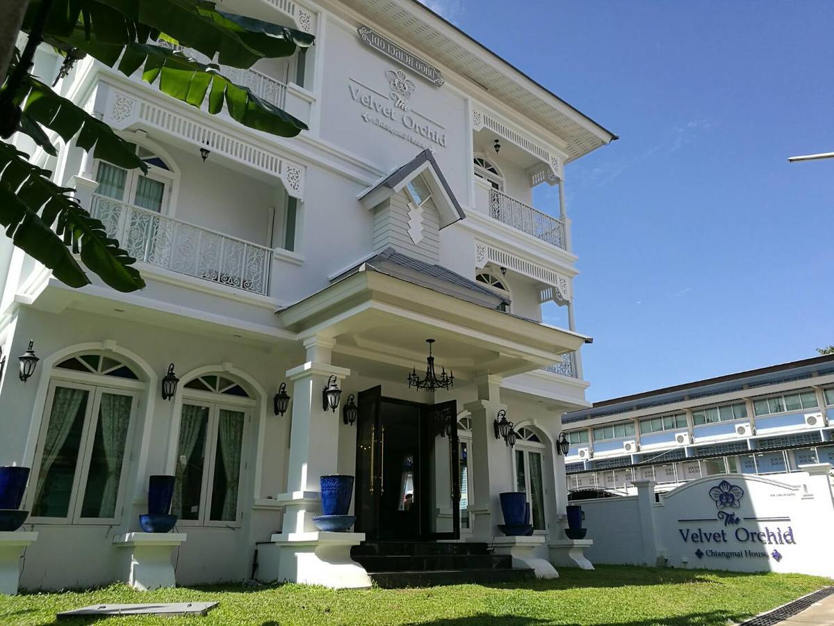 Velvet orchid Hotell Chiang Mai Eksteriør bilde
