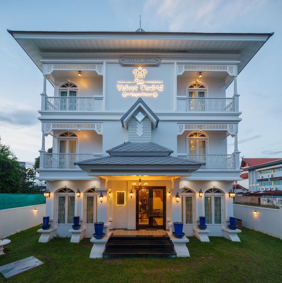 Velvet orchid Hotell Chiang Mai Eksteriør bilde