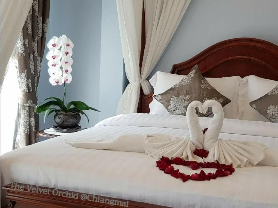 Velvet orchid Hotell Chiang Mai Eksteriør bilde
